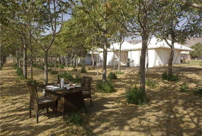 The Greenhouse Resort Puškar Exteriér fotografie